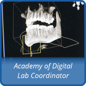 Academy of Digital Lab Coordinator